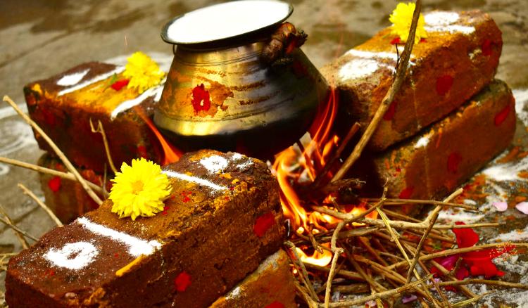 All About Poush Sankranti Celebration