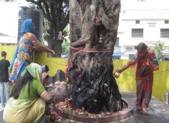 বৈশাখ মাসে তুলসী ও অশ্বত্থ গাছে জলদানের ধর্মকথা