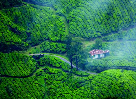 দেশের বর্ষাকালীন সেরা ভ্রমণকেন্দ্র