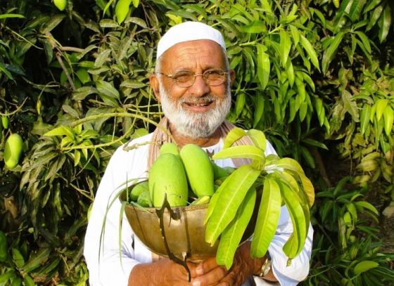 ১৩৪ বছরের প্রাচীন এক গাছে ৩০০ রকম আম ফলিয়েছেন ভারতের ‘ম্যাঙ্গো ম্যান’