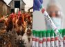 Bird Flu Virus: পশ্চিমবঙ্গে বার্ড ফ্লু আক্রান্ত ৪ বছরের এক শিশু, কতটা বিপদজনক এই ভাইরাস?