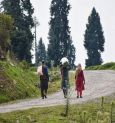 Heatwave in Kashmir: The administration has ordered schools in Kashmir to remain closed until July 30th