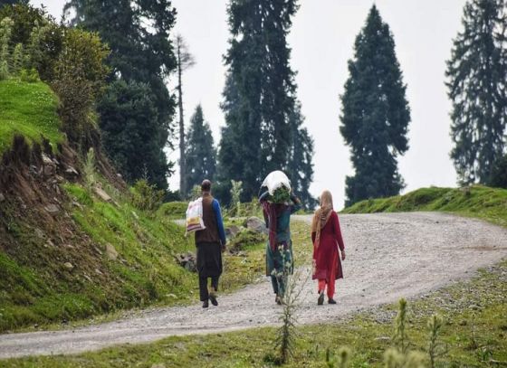 Heatwave in Kashmir: The administration has ordered schools in Kashmir to remain closed until July 30th