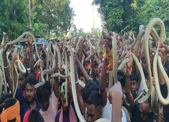 Naag Panchami 2024: নাগপঞ্চমী উপলক্ষে  সাপের আনাগোনায় জমে ওঠে বিহারের এই অঞ্চল