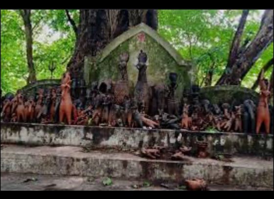 গ্রামে জল বসন্ত দেখা দিলে পুজো গ্রহণ করেন না এই দেবী