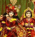 When is the Radhashtami festival? Find out all the detailed information about the puja.