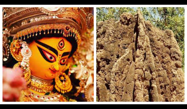 In Asansol, Termite Mound is worshiped as the Goddess Durga