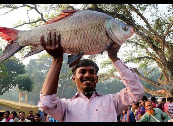 হাল পুণহা ও আখ্যানযাত্রা নিয়ে পয়লা মাঘই হলকর্ষণের মহেন্দ্রক্ষণ