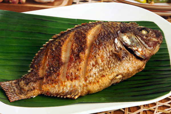 tilapia-a