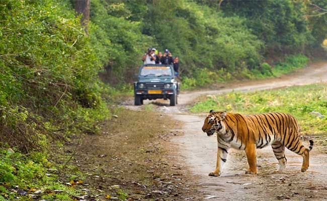 Uttarakhand-Jim-corbet