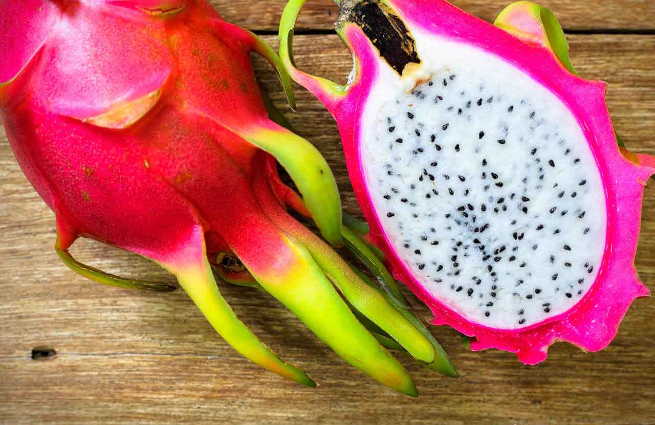 growing-dragon-fruit-3