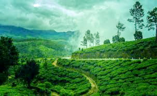 munnar-1