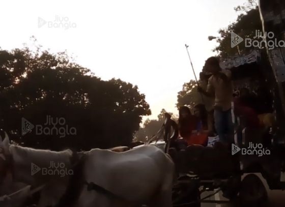 The Horse Carriage | Timeless | Kolkata