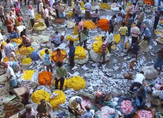 Mallik Ghat | The Garden Of Eden In West Bengal